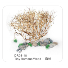 Professional Tiny Ramous Wood Aquarium Bonsai Decorative Driftwood